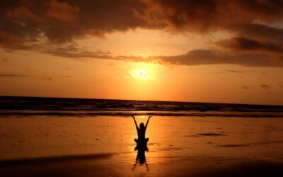 Wellness Apps To Stay Stress-Free
